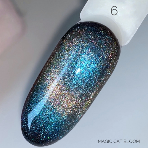 Magic Cat №6